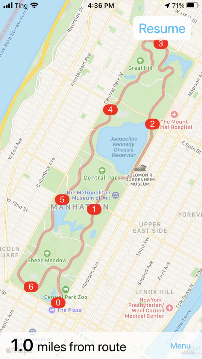 BikeGPX Screenshot of Central Park Ride